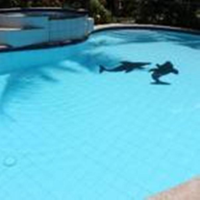Lost Horizon Beach Dive Resort Bohol Dış mekan fotoğraf